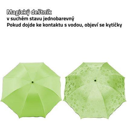 Obrazek z Magiczny parasol - limonka