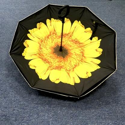 Obraz Odwrócony parasol