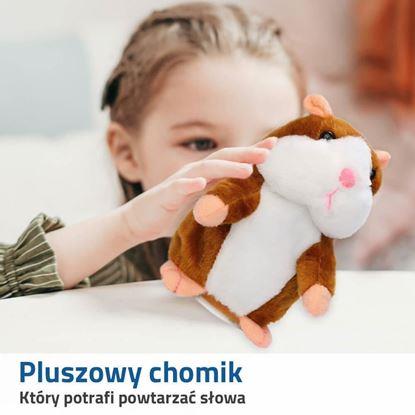 Obraz Mówiący chomik