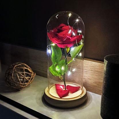Obraz Świecąca róża w szklanym wazonie