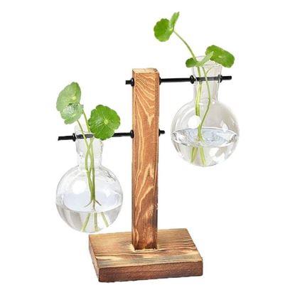 Obraz Stojak z wazonami do rozmnażania roślin