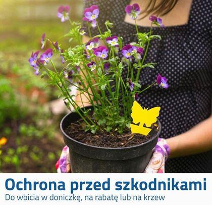 Obrazek z Ochrona roślin przed owadami 12 szt