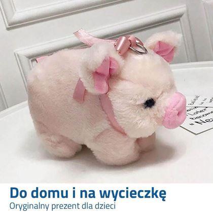 Obrazek z Torebka - świnka