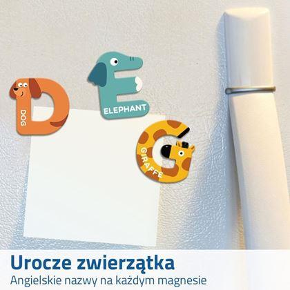 Obrazek z Magnetyczne litery ze zwierzątkami 26 szt