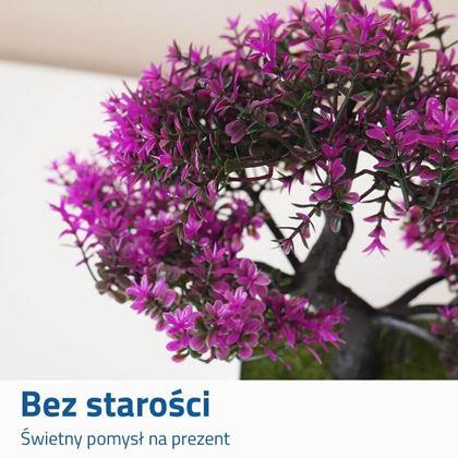 Obrazek z Sztuczna bonsai - fioletowa