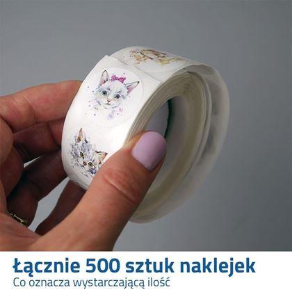 Obrazek z Naklejki z kotkami 500 szt.