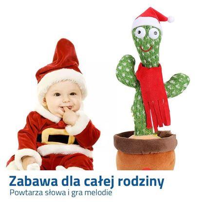 Obraz Mówiący i śpiewający kaktus