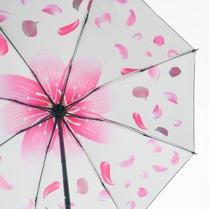Obraz Skládací deštník
