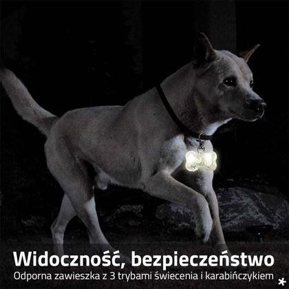 Obrazek z Świecący brelok LED na obrożę