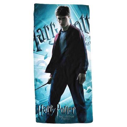 Obraz Ręcznik - Harry Potter