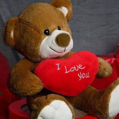 Obraz Pluszowy miś – Kocham Cię/I Love You