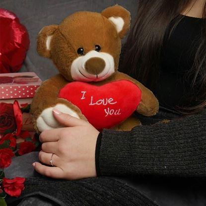 Obraz Pluszowy miś – Kocham Cię/I Love You